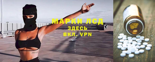 прущие грибы Орск