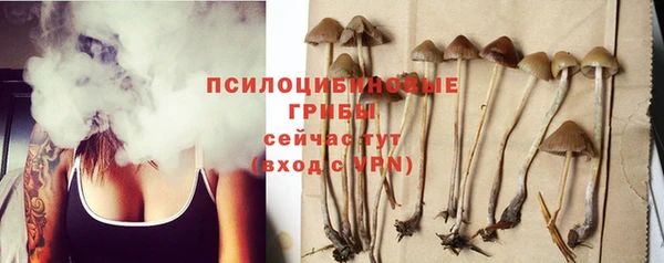 прущий лед Великий Новгород
