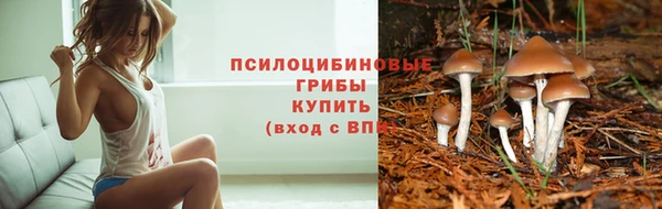 спиды Белая Холуница