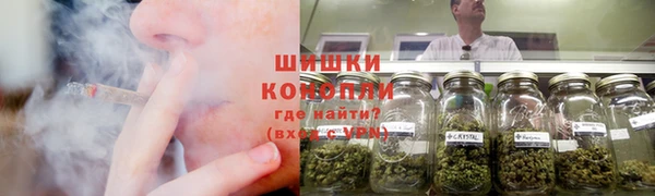 прущие грибы Орск