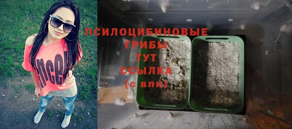 прущие грибы Орск