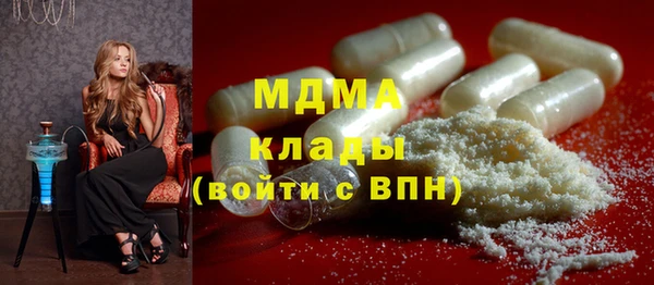 гашик Бикин