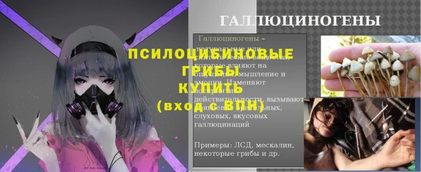 прущие грибы Орск