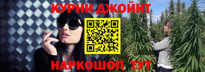 mdma Гатчина
