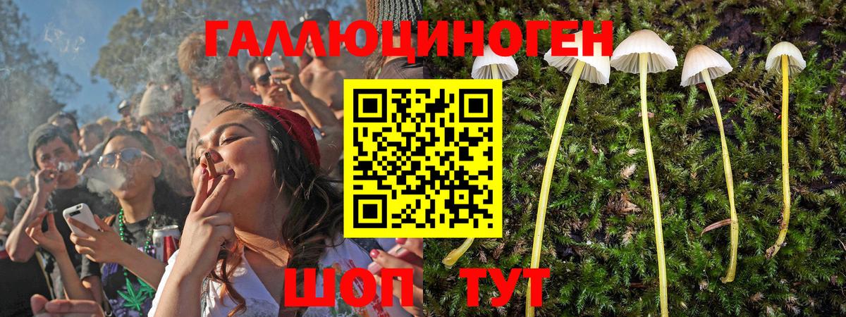 Галлюциногенные грибы GOLDEN TEACHER Алейск