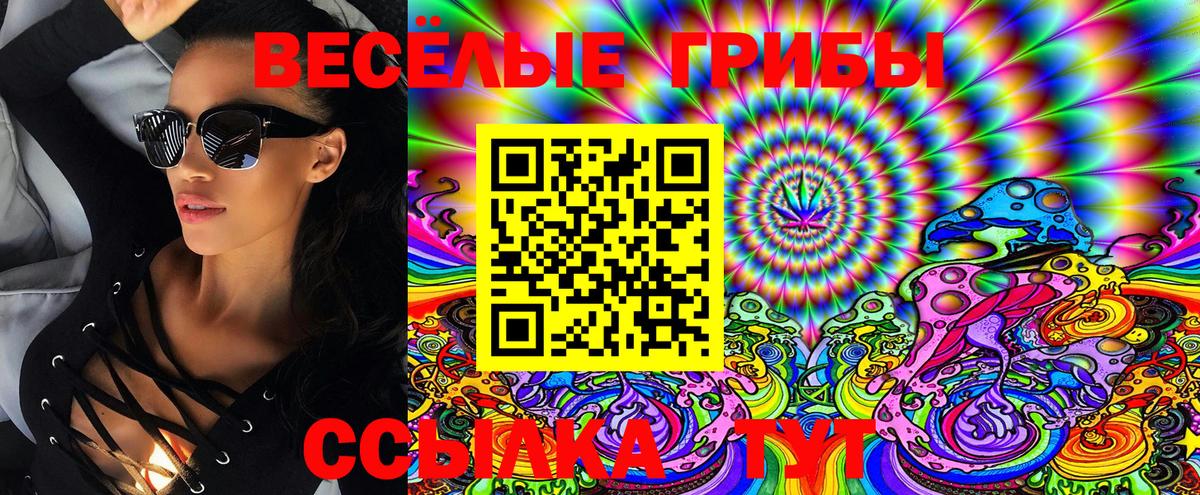 Галлюциногенные грибы GOLDEN TEACHER  Вход с VPN  Алейск 